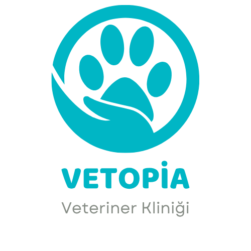 ordu veteriner kliniği